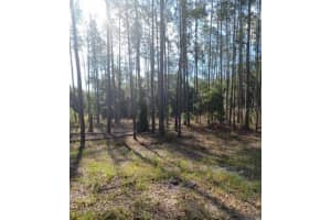 TBD SW CORNER SW95 AVE\SW 158 LN, DUNNELLON, FL 34432 - MLS#MFROM659990